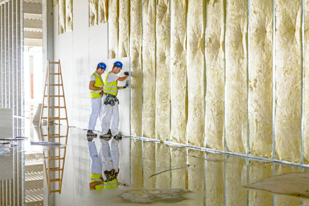 Best Blown-in Insulation in Parachute, CO